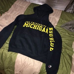 University of Michigan Champion Hoodie